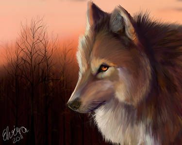 Wolf In The Sunrise