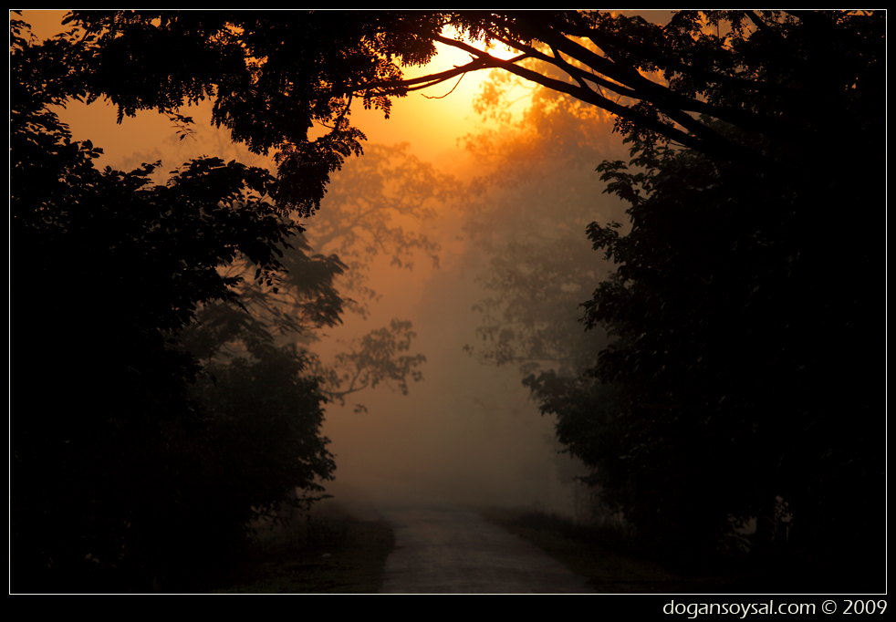 SUNRISE AND MIST - II