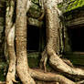 The Temple of Ta Prohm