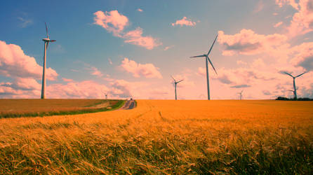 Wind turbines in fields.