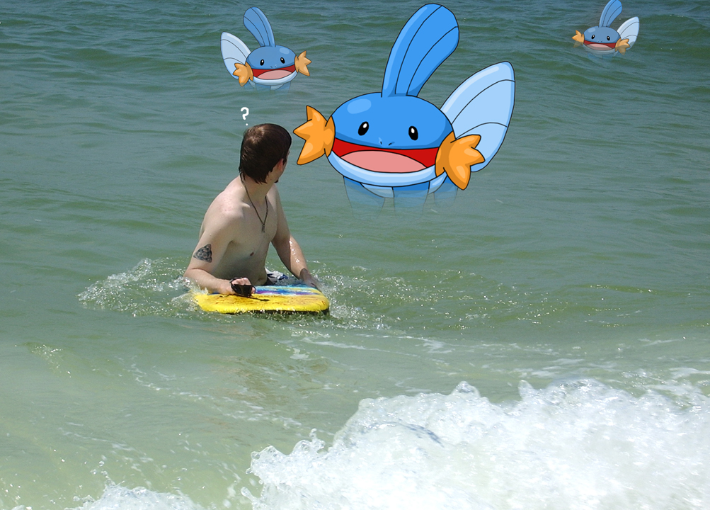 Mudkip Attack