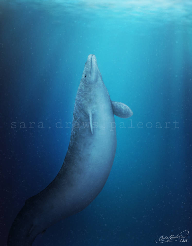 Basilosaurus Deviantart The Great Basilosaurus by saradrawspaleoart on DeviantArt