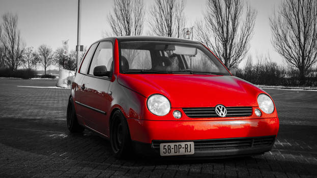 Red cleaned Lupo