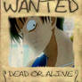 Wanted - Luffy