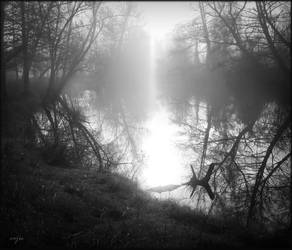 Sunset on the Misty River