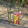 Fluttershy Hiding on the Dunes