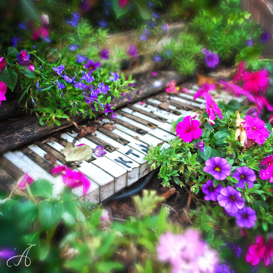 Flower melody. Фортепиано на природе. Пианино на природе. Цветы на рояле. Рояль на природе.