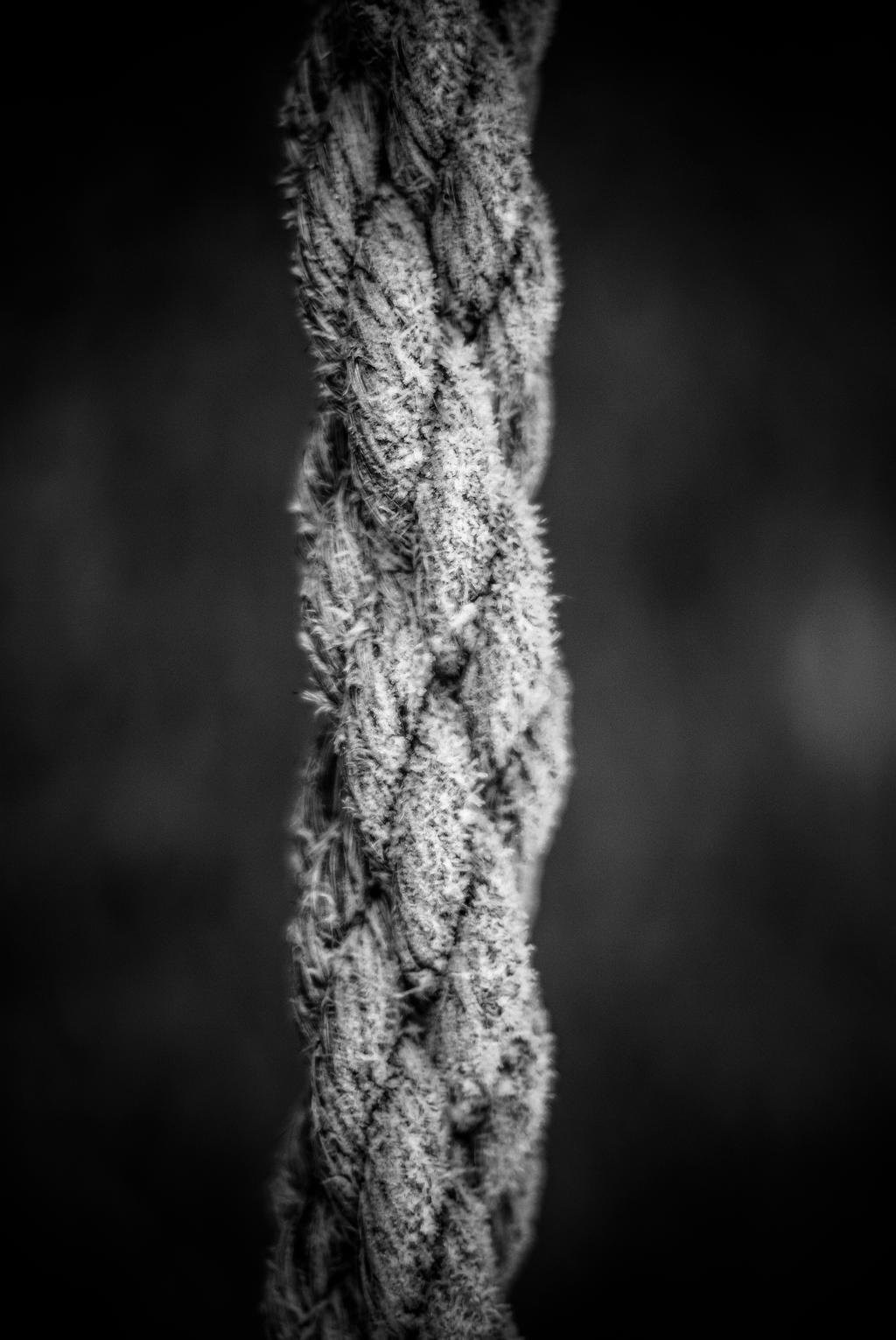Rope by jfdupuis on DeviantArt