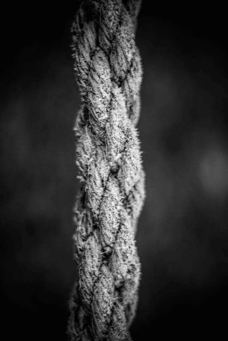 Rope by jfdupuis on DeviantArt