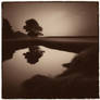 Sepia river 6