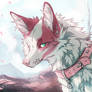 Aran test colo (+speedpaint)