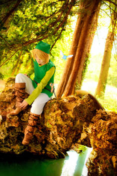 The Legend of Zelda - Achalmy