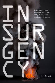 Insurgency Book Cover