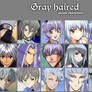 Gray haired anime characters