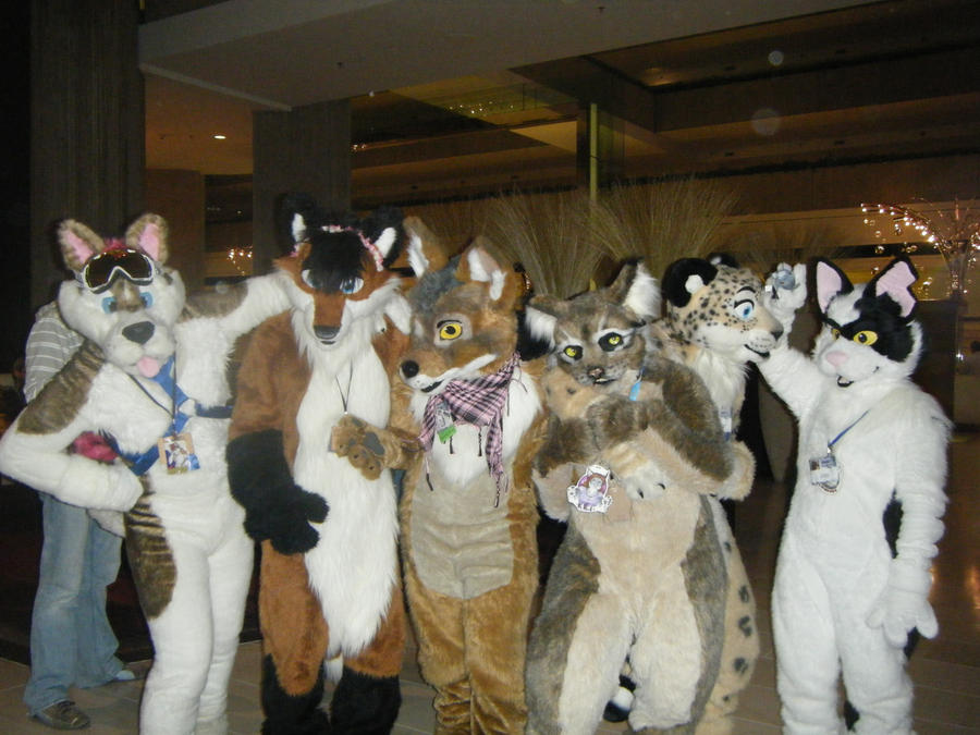 MFF 2010 Group of Furrys