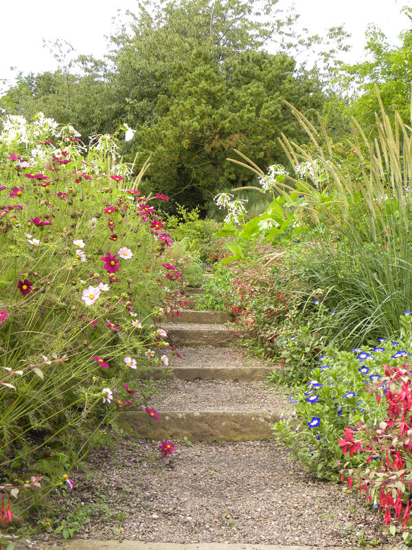 Pretty Path by Erratta on DeviantArt