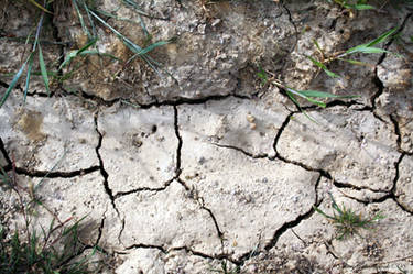 Cracked Earth_Groundscape