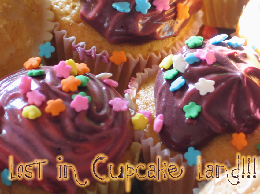 Lost in Cupcake Land