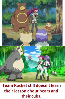Of Team Rocket and Bears