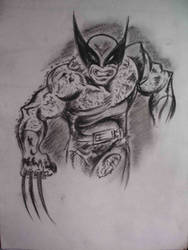 Wolverine