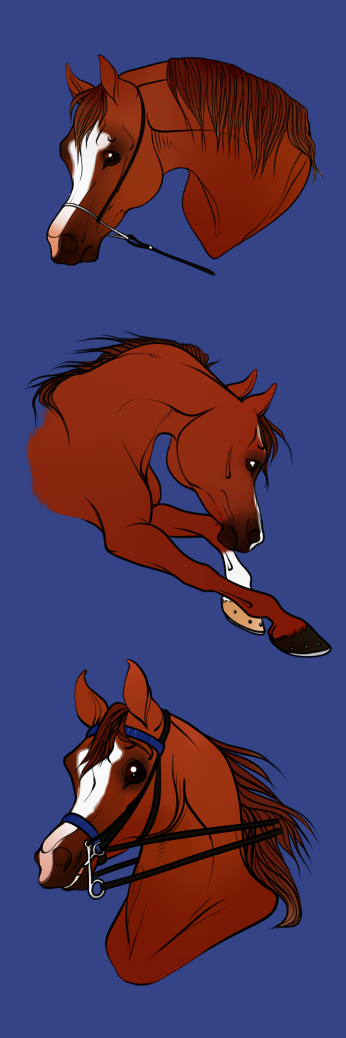 Vicki: Ascendancy Stables Mini Show