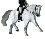 Cloud ::Lilium Dressage:: by Kokopelli-Stable