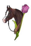SS+ Mariana ::WAHA Horses for Courses:: by Kokopelli-Stable