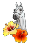River Nile ::WAHA Horses for Courses:: by Kokopelli-Stable