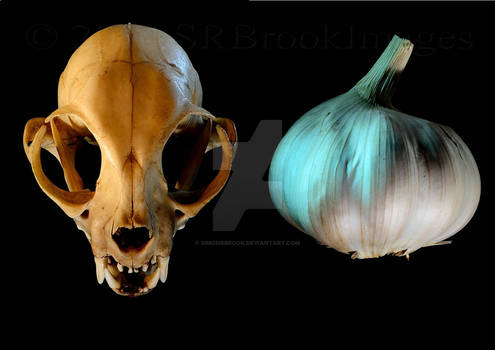 CAT SKULL AND GARLIC