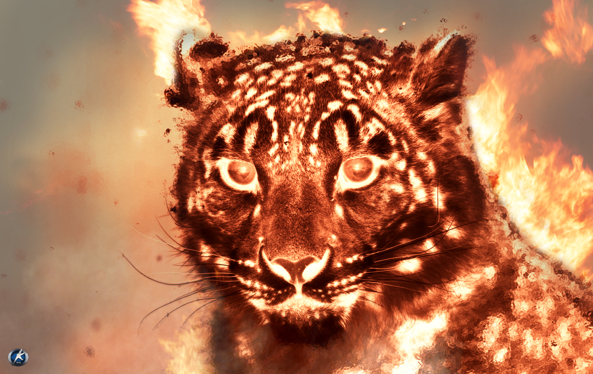 fire tiger wallpaper