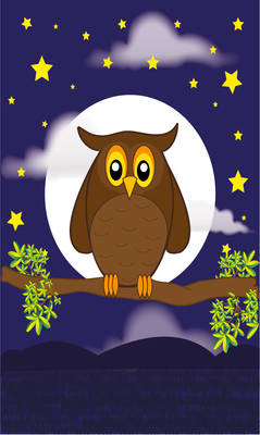 Lg wallpaper - Night Owl