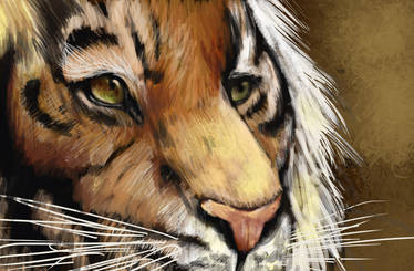 Tiger Speedpaint