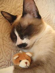 Sleeping with Little Teddy