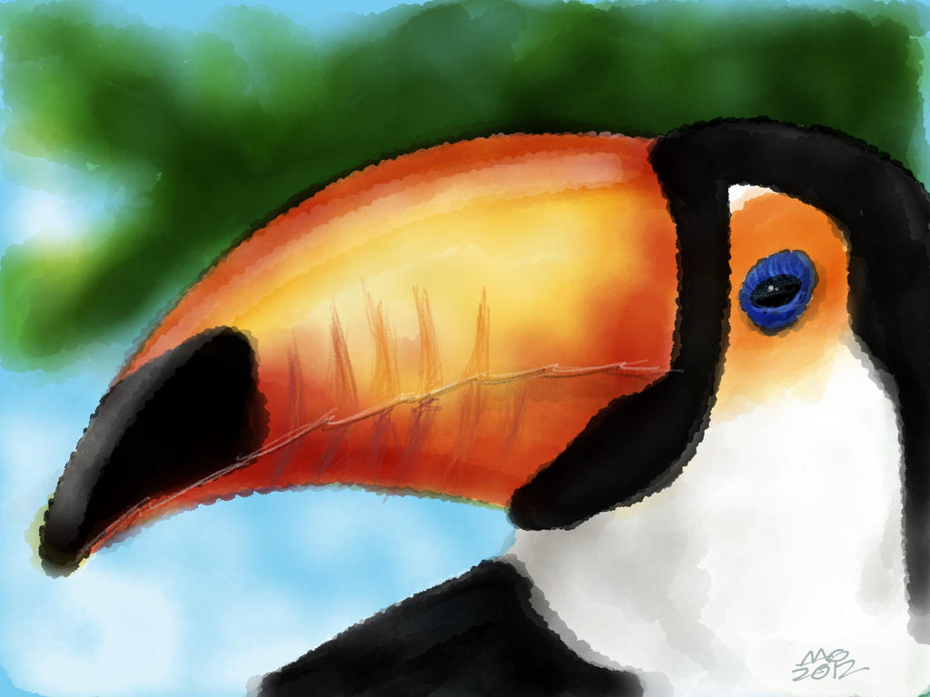 Toucan by digitalchet
