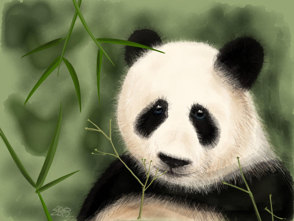 Sad Panda by digitalchet