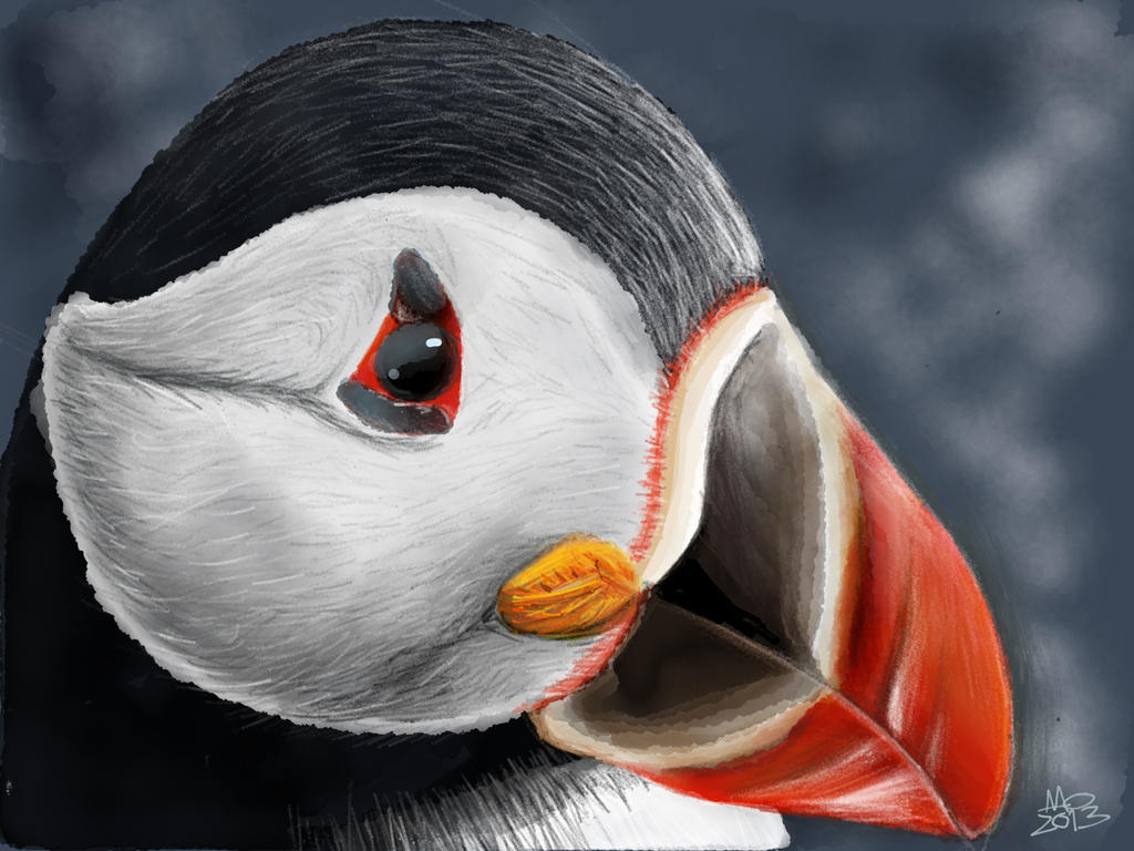 Puffin by digitalchet