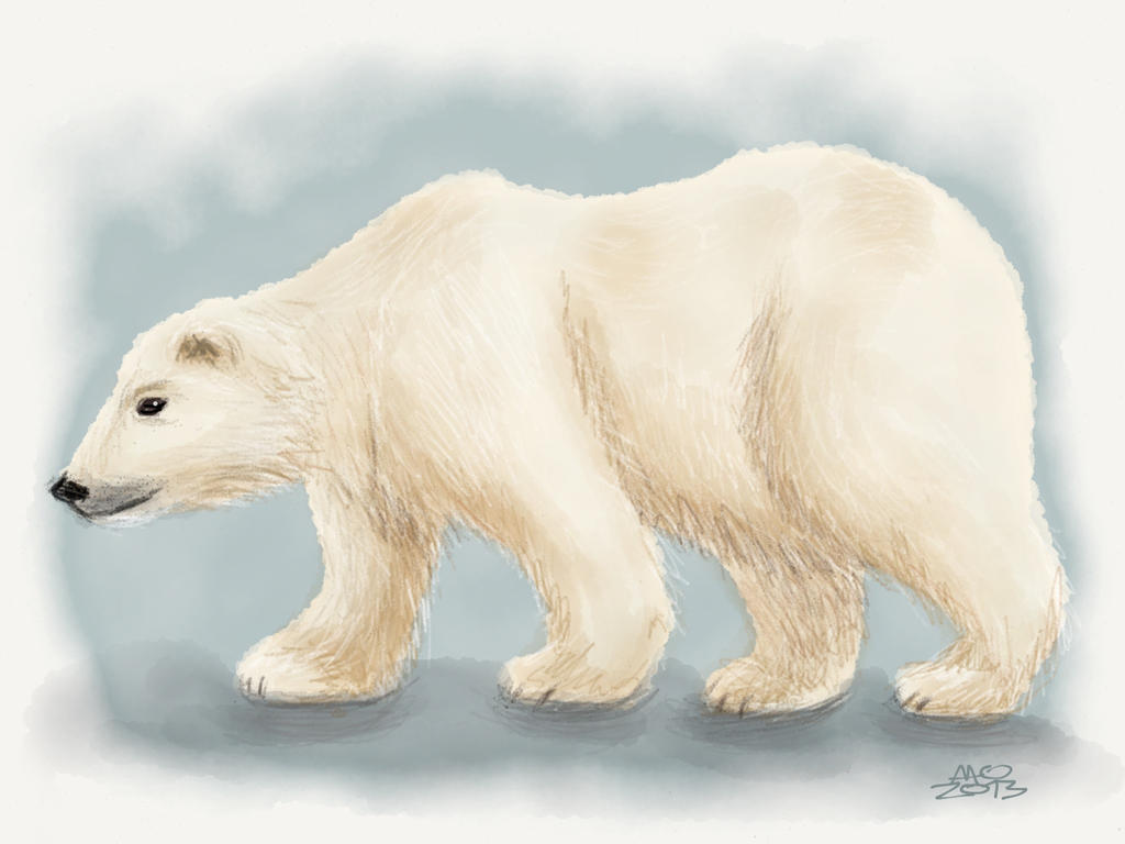 Nanuk by digitalchet