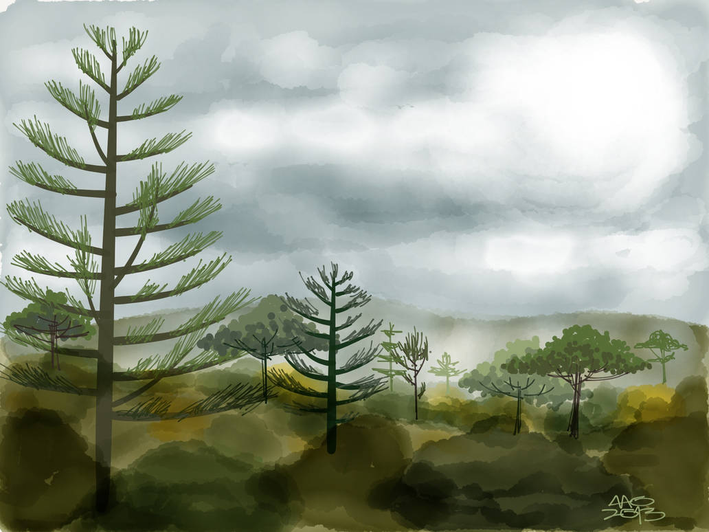 Forest for the Trees by digitalchet