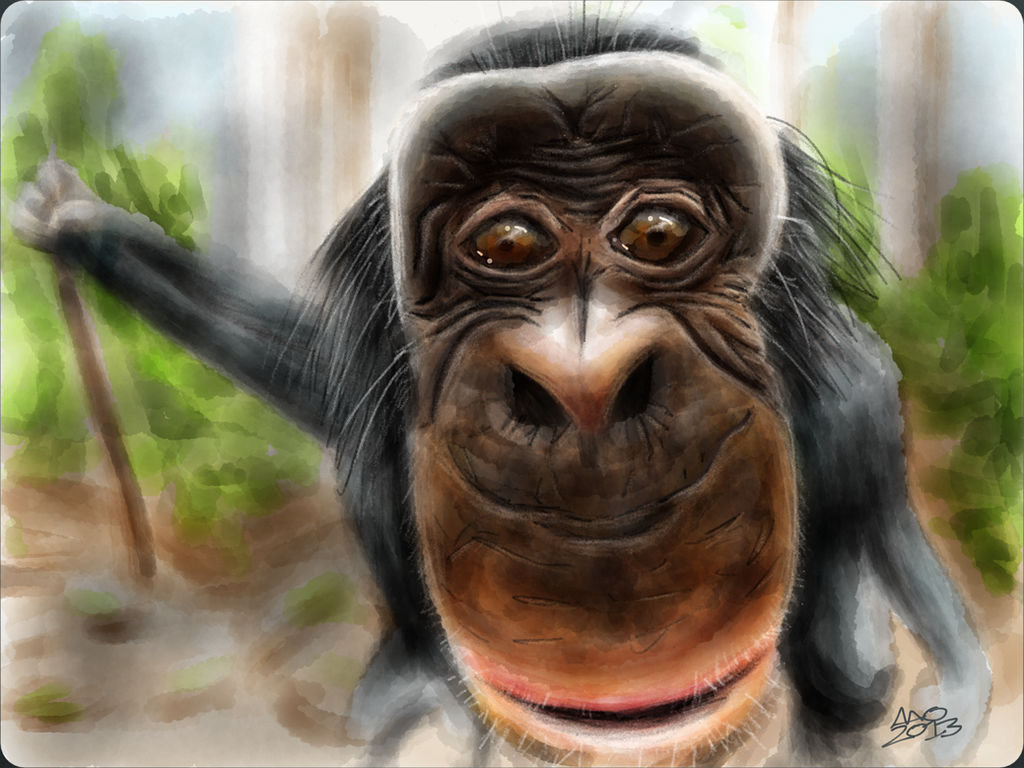 Bobo the Bonobo by digitalchet