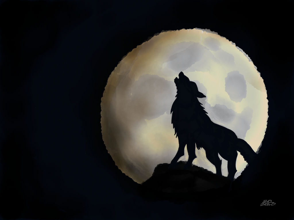Howl by digitalchet