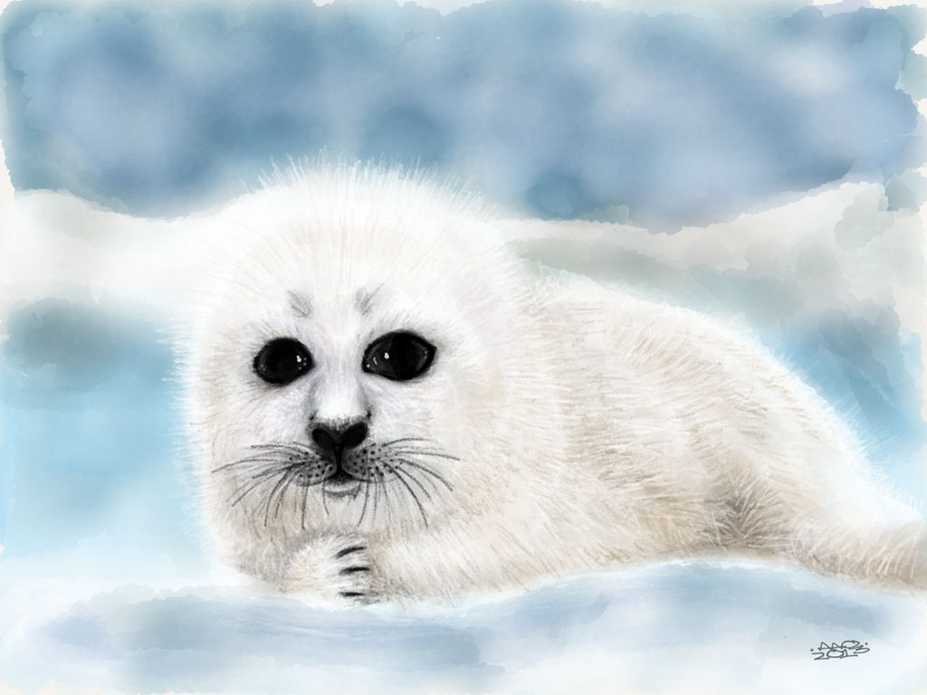 Harp Seal Pup by digitalchet