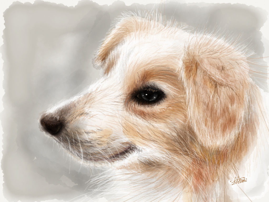 Max by digitalchet