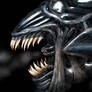 Xenomorph