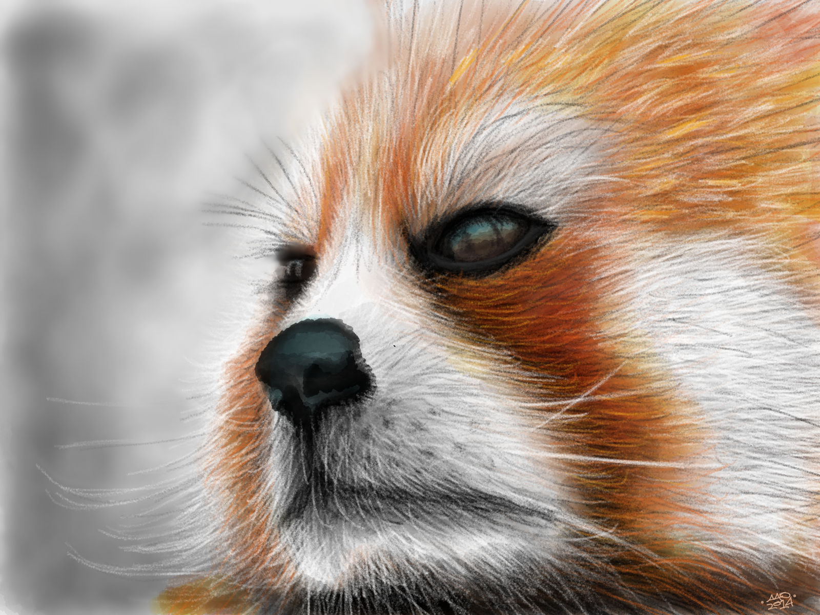Red Panda by digitalchet