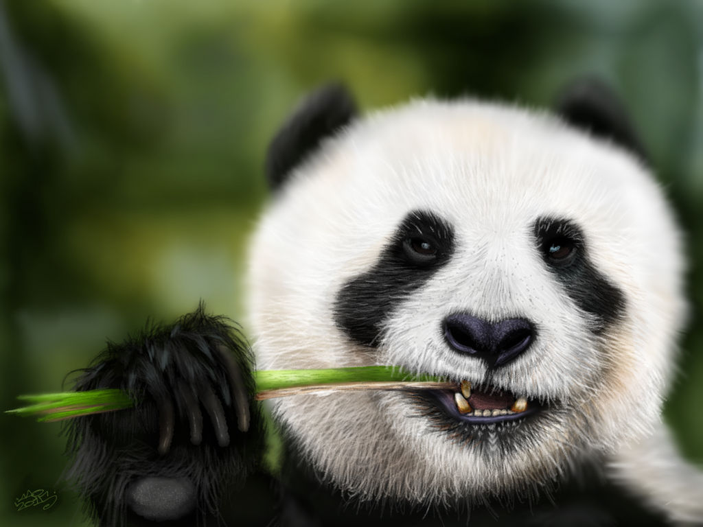 Munching Panda by digitalchet