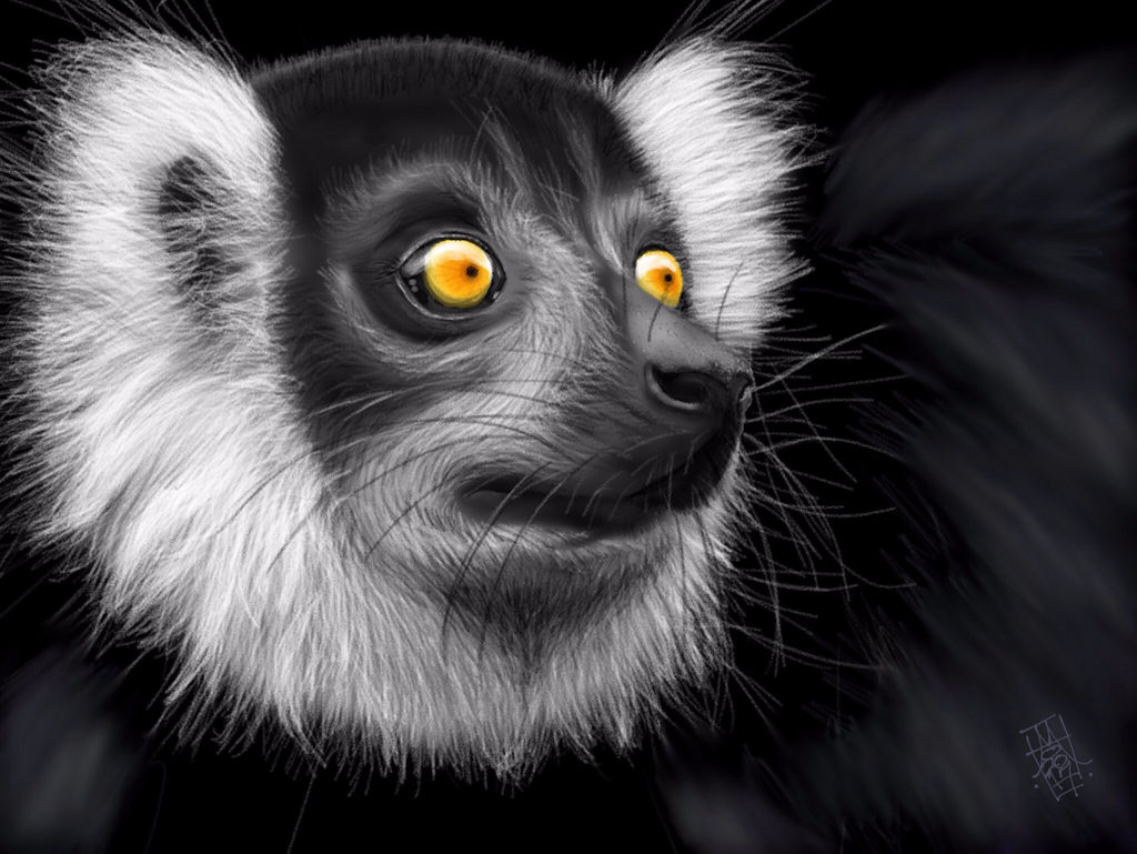 Black Lemur by digitalchet