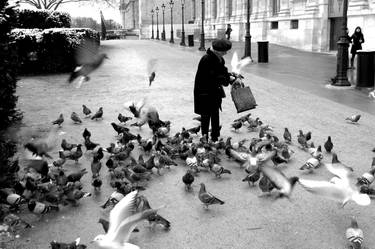 Pigeon Feeding