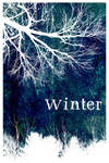 Winter by viantoART