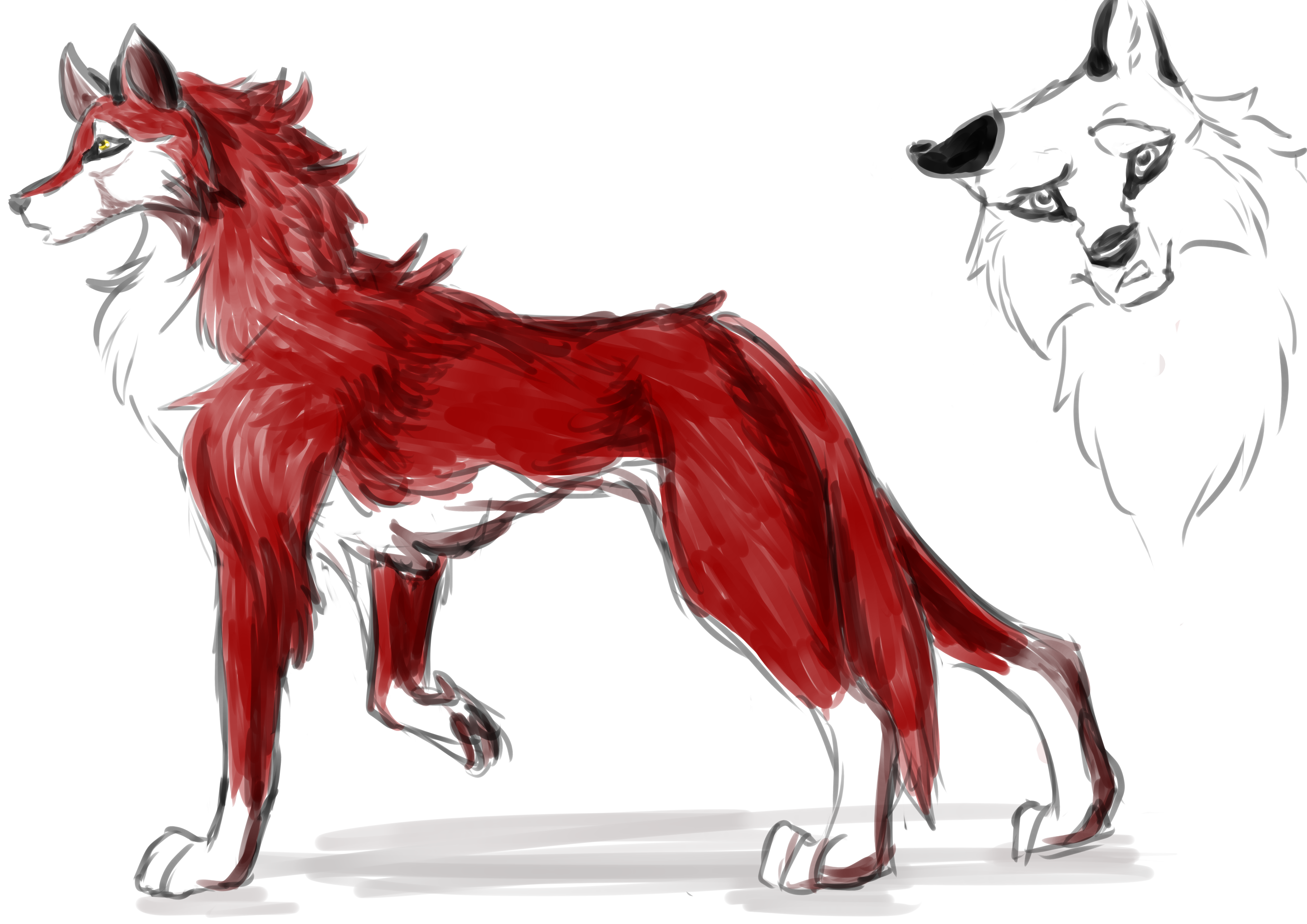 Loup Version Balto By Chaokievery On Deviantart Loup Version Balto By Chaokievery On Deviantart