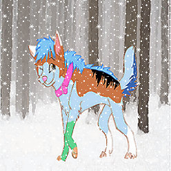 Wolfie Kano in the snow